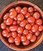 Burpee Napa Grape Tomato Seeds 30 seeds new 2024