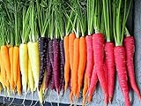 Photo 500+ Rainbow Carrot Seeds to Grow - Colorful Blend of Exotic Colored Carrots. Edible Vegetables. Made in USA, best price $9.99, bestseller 2024