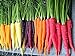 500+ Rainbow Carrot Seeds to Grow - Colorful Blend of Exotic Colored Carrots. Edible Vegetables. Made in USA new 2024