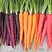 Frisches Obstsamen mit 500Pcs Gemischte Farbe Karottensamen Leckeres Gemüse Obst Garten Farm Pflanze zum Pflanzen Garten Yard Home Landschaftsbau neu 2024