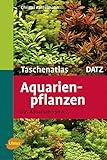 Foto Aquarienpflanzen: Das Aquarium von A - Z (Taschenatlanten), bester Preis 19,90 €, Bestseller 2024
