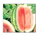Photo 25 Crimson Sweet Watermelon Seeds | Non-GMO | Fresh Garden Seeds, best price $6.95, bestseller 2024