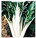 Semillas de acelga verde 2 de remolacha plateada - verduras - beta vulgaris - aprox. 300 semillas - las mejores semillas de plantas - flores - frutas raras - remolacha verde - idea de regalo nuevo 2024