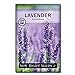 Sow Right Seeds - Lavender Seeds for Planting; Non-GMO Heirloom Seeds with Instructions to Plant and Grow a Beautiful Indoor or Outdoor herb Garden; Great Gardening Gift new 2024