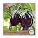 BIO Aubergine Samen Sorte Black Beauty (Solanum melongena) Gemüsesamen Eierfrucht Saatgut neu 2024