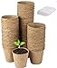 LATERN 100Pcs 8cm Macetas de Semillas de Fibra Biodegradable para Plántulas y Trasplantes con 100pcs Etiquetas de Plantas de Plástico (Blanco 5x1cm) nuevo 2024