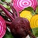 Beets - Gourmet Mix of Beet Seeds ► Non-GMO Red & Yellow Beet Seeds (100+ Seeds) ◄ by PowerGrow Systems new 2024