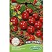 Germisem Red Cherry Semillas de Tomate 1 g (EC8004) nuevo 2024