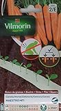 Foto Vilmorin 2 Cintas 350 Semillas de Zanahoria Maestro HF1 (Cultivo fácil), mejor precio 2,90 €, éxito de ventas 2024