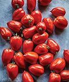Photo Burpee 'Big Mama' Hybrid | Large Red Paste Tomato | 50 Seeds, best price $7.47 ($0.15 / Count), bestseller 2024