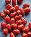 Burpee 'Big Mama' Hybrid | Large Red Paste Tomato | 50 Seeds new 2024