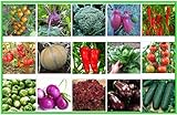 Foto Gemüse Set 2: Broccoli Gurken Zwiebel Rosenkohl Kohlrabi Aubergine Salat Tomate Chili Paprika Melone Samen Saatgut, bester Preis 6,95 €, Bestseller 2024
