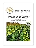 Foto BIO-Kohlsamen Westlandse Winter Grünkohl Portion, bester Preis 1,95 €, Bestseller 2024