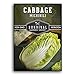 Survival Garden Seeds - Michihili Napa / Nappa Cabbage Seed for Planting - Pack with Instructions to Plant and Grow Brassica Vegetables in Your Home Vegetable Garden - Non-GMO Heirloom Variety new 2024