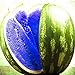 100 unidades de semillas de sandía multicolores, fruta dulce de jardín para plantar jardín al aire libre Azul Semillas de sandía nuevo 2024