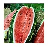 Photo David's Garden Seeds Fruit Watermelon Allsweet 1429 (Red) 50 Non-GMO, Heirloom Seeds, best price $3.45, bestseller 2024