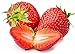 Strawberry Seeds for Planting in Your Indoor or Outdoor Garden: Non-GMO,Non-Hybrid,Heirloom and Organic (100PCS) new 2024