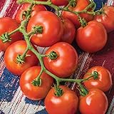 Photo Burpee 'Fourth of July' Hybrid | Red Slicing Tomato | 50 Seeds, best price $8.75, bestseller 2024