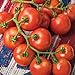 Burpee 'Fourth of July' Hybrid | Red Slicing Tomato | 50 Seeds new 2024