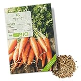 Foto BIO Karotten Samen (Early Nantes) - Möhren Saatgut aus biologischem Anbau ideal für die Anzucht im Garten, Balkon oder Terrasse, bester Preis 4,90 €, Bestseller 2024