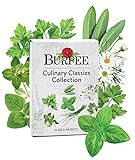 Photo Burpee Culinary Classics Garden Collection 10 Packets of Non-GMO Chives, Cilantro, Basil, Sage, Thyme, Dill, Parsley, Chamomile, Marjoram & Oregano | Kitchen Herb Variety Pack, Seeds for Planting, best price $26.57, bestseller 2024