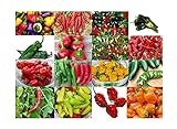 Photo Please Read! This is A Mix!!! 30+ Hot Pepper Mix Seeds, 16 Varieties Heirloom Non-GMO Habanero, Tabasco, Jalapeno, Yellow and Red Scotch Bonnet, Ships from USA! US Grown., best price $5.69, bestseller 2024
