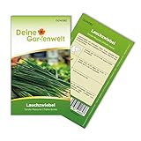 Foto Lauchzwiebeln Tonda musona Samen - Allium cepa - Lauchzwiebelnsamen - Gemüsesamen - Saatgut für 100 Pflanzen, bester Preis 1,99 € (0,02 € / stück), Bestseller 2024