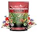170,000 Wildflower Seeds, 1/4 lb, 35 Varieties of Flower Seeds, Mix of Annual and Perennial Seeds for Planting, Attract Butterflies and Hummingbirds, Non-GMO… new 2024