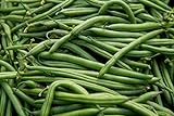 Photo Blue Lake Pole Bean Seeds - Non-GMO - 2 ounces, approximately 175 seeds, best price $6.99, bestseller 2024