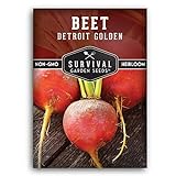 Photo Survival Garden Seeds - Detroit Golden Beet Seed for Planting - Packet with Instructions to Plant and Grow Sweet Yellow Root Vegetables in Your Home Vegetable Garden - Non-GMO Heirloom Variety, best price $4.99, bestseller 2024