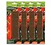 Dehner Bio Düngestäbchen für Tomaten, 4 x 30 Stück (120 Stück) neu 2024