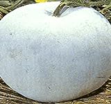 Photo Big Pack - (100) Winter Melon Round, Wax Gourd Seeds - Tong Qwa - Used in Asian Soup Dishes - Non-GMO Seeds by MySeeds.Co (Big Pack - Wax Gourd), best price $12.89 ($0.13 / Count), bestseller 2024