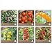 Samenliebe BIO Cherrytomaten Samen Set mit 6 samenfesten Gemüsesamen Sorten für Gewächshaus Freiland und Balkon Tomaten BIO Gemüse Saatgut neu 2024
