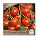 Samenliebe BIO Cherrytomaten Samen Zuckertraube besonders süße Cocktailtomate Tomate rot 10 Samen samenfestes Gemüse Saatgut für Gewächshaus Freiland und Balkon BIO Gemüsesamen neu 2024