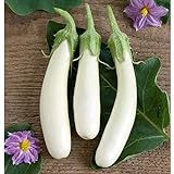 Photo White Princess (F1) Eggplant Seeds (30+ Seed Package), best price $4.19, bestseller 2024
