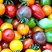 100 piezas de semillas de tomate de cereza arcoíris de semillas de tomate enano de herencia colorida para plantar el jardín de su casa nuevo 2024