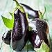 David's Garden Seeds Eggplant Black Beauty 2477 (Black) 50 Non-GMO, Heirloom Seeds new 2024