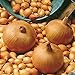 Semillas vegetales100Pcs/Bag Vegetable Seeds suculentas cebolla nutritiva fresca de rápido crecimiento - Semillas de cebolla nuevo 2024