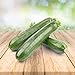 Zucchini 25 x Samen - Aus Portugal 100% Natürlich Ohne Chemische Anzuchthilfe Oder Gentechnik, Einfach Nur Natur Pur neu 2024