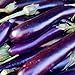 David's Garden Seeds Eggplant Long Purple 1131 (Purple) 50 Non-GMO, Heirloom Seeds new 2024