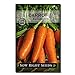 Sow Right Seeds - Kuroda Carrot Seed for Planting - Non-GMO Heirloom Packet with Instructions to Plant a Home Vegetable Garden, Great Gardening Gift (1) new 2024