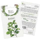 Photo Graines de basilic (Ocimum basilicum), semences de basilic cultivé OwnGrown, Semis pour environ 300 plantes, meilleur prix 2,95 € (2,95 € / unité), best-seller 2024