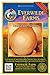 Everwilde Farms - 500 Texas Early Grano Onion Seeds - Gold Vault Jumbo Seed Packet new 2024
