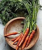 Photo Burpee Scarlet Nantes Carrot Seeds 3000 seeds, best price $7.40, bestseller 2024