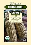 Photo Seeds Of Change 6079 Golden Bantam Corn, best price $8.99, bestseller 2024