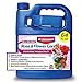 BioAdvanced 701262 All in One Rose and Flower Care Plant Fertilizer Insect Killer, and Fungicide, 64 Ounce, Concentrate new 2024