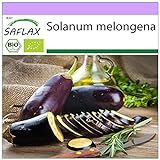 Photo SAFLAX - BIO - Aubergine - Longue violette - 20 graines - Solanum melongena, meilleur prix 3,95 €, best-seller 2024
