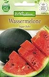 Foto Chrestensen Wassermelone 'Sugar Baby', bester Preis 2,33 €, Bestseller 2024
