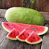 Photo NIKA SEEDS - Fruit Watermelon Charleston Grey Green - 20 Seeds, best price $8.95 ($0.45 / Count), bestseller 2024