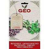 Foto Geo Trigo Sarraceno Semillas para germinar, Marrón, 12.7x0.7x20 cm, mejor precio 5,78 €, éxito de ventas 2024